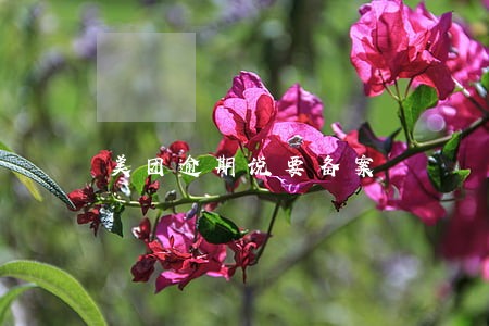 美团逾期说要备案 美团逾期说要备案