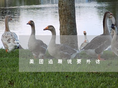 美团逾期说要外访 美团逾期说要外访