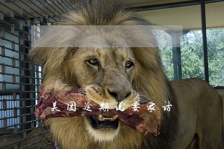 美团逾期说要家访 美团逾期说要家访