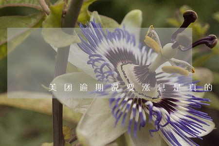 美团逾期说要涨息是真的吗