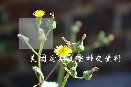 美团逾期说要移交资料 美团逾期说要移交资料