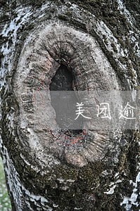 美团逾期说要调查备案 美团逾期说要调查备案
