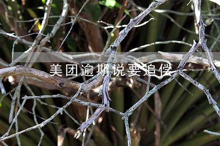 美团逾期说要追偿 美团逾期说要追偿