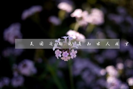 美团逾期说通知家人核实 美团逾期说通知家人核实