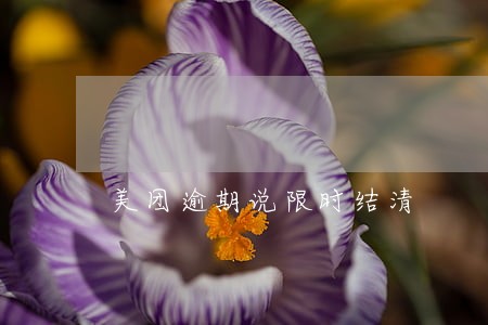 美团逾期说限时结清 美团逾期说限时结清