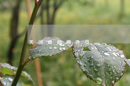 美团逾期调查员 美团逾期调查员