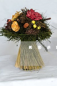 美团逾期调查通知 美团逾期调查通知