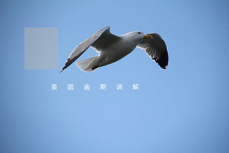美团逾期调解 美团逾期调解