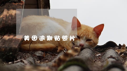 美团逾期贴照片 美团逾期贴照片