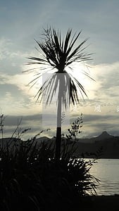 美团逾期费怎么算 美团逾期费怎么算
