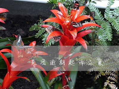 美团逾期起诉立案 美团逾期起诉立案