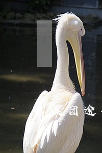 美团逾期超90天了