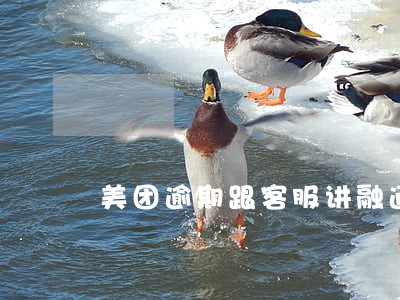 美团逾期跟客服讲融通可以么 美团逾期跟客服讲融通可以么