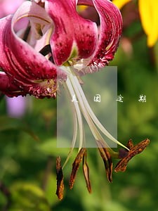 美团逾期跟客服讲通融可以么 美团逾期跟客服讲通融可以么
