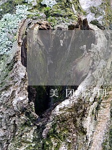 美团逾期转账 美团逾期转账