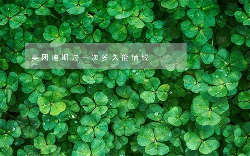 美团逾期过一次多久能借钱 美团逾期过一次多久能借钱