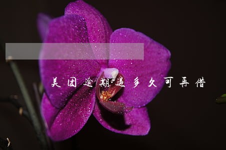 美团逾期过多久可再借
