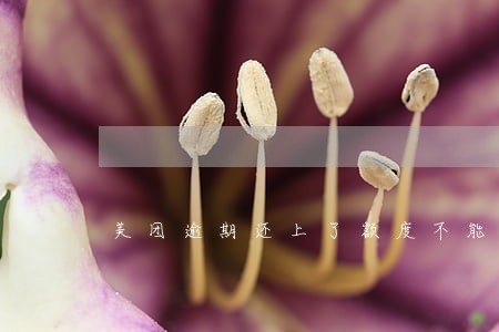 美团逾期还上了额度不能用怎么办 美团逾期还上了额度不能用怎么办