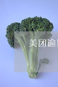 美团逾期还上再借是真的吗 美团逾期还上再借是真的吗