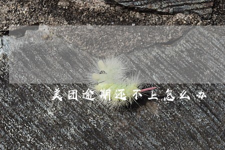 美团逾期还不上怎么办 美团逾期还不上怎么办