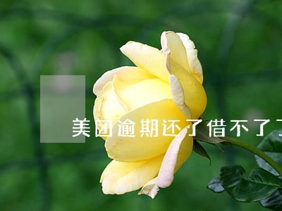 美团逾期还了借不了了 美团逾期还了借不了了