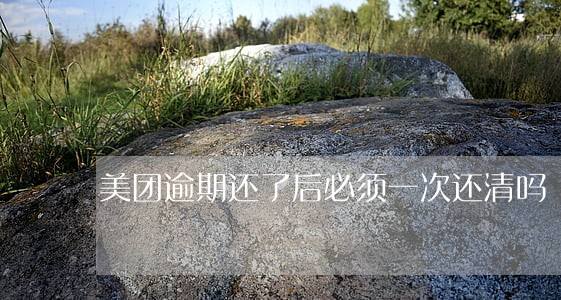 美团逾期还了后必须一次还清吗 美团逾期还了后必须一次还清吗