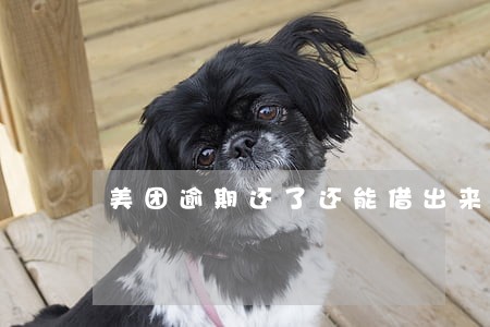 美团逾期还了还能借出来吗 美团逾期还了还能借出来吗