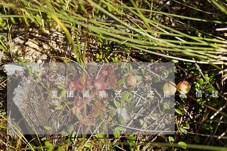 美团逾期还了还能再借钱吗 美团逾期还了还能再借钱吗