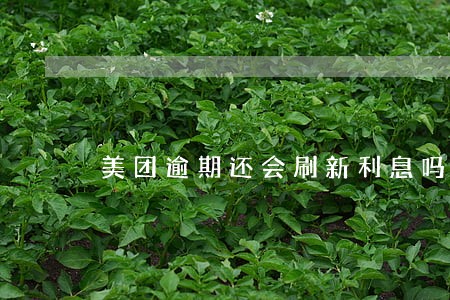 美团逾期还会刷新利息吗 美团逾期还会刷新利息吗