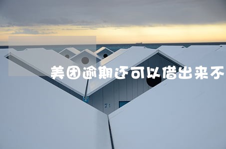 美团逾期还可以借出来不