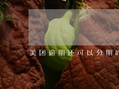 美团逾期还可以分期吗