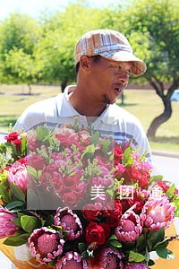 美团逾期还可以申请车贷么 美团逾期还可以申请车贷么
