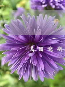 美团逾期还好了还能借钱吗 美团逾期还好了还能借钱吗