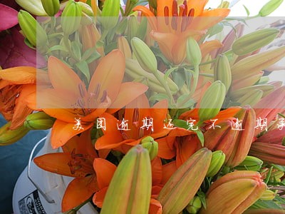 美团逾期还完不逾期承诺书 美团逾期还完不逾期承诺书