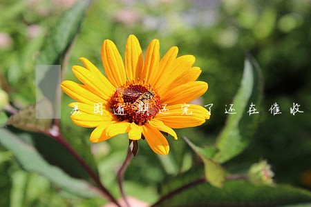 美团逾期还完了还在催收 美团逾期还完了还在催收
