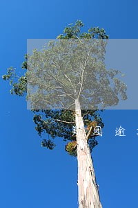美团逾期还完多久恢复征信 美团逾期还完多久恢复征信