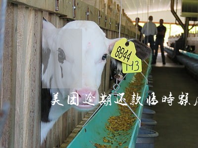 美团逾期还款临时额度 美团逾期还款临时额度