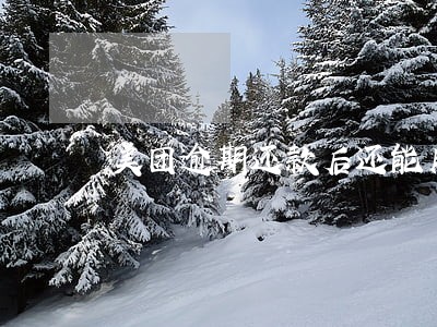 美团逾期还款后还能用吗 美团逾期还款后还能用吗