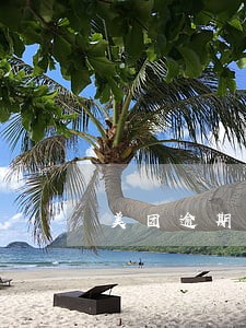 美团逾期还清影响信用卡吗 美团逾期还清影响信用卡吗