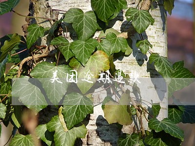 美团逾期退款 美团逾期退款