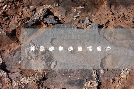 美团逾期逃废债客户