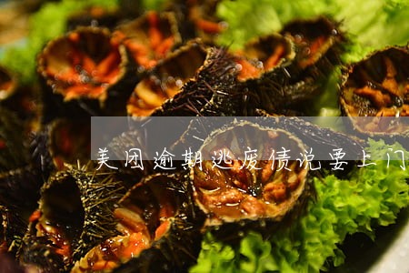 美团逾期逃废债说要上门是真的吗 美团逾期逃废债说要上门是真的吗