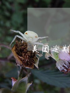 美团逾期通告函