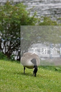 美团逾期邮寄催收 美团逾期邮寄催收
