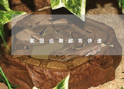 美团逾期邮寄快递 美团逾期邮寄快递