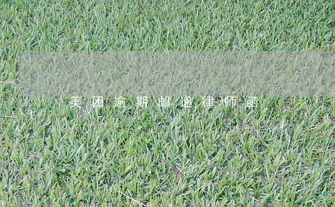 美团逾期邮递律师函