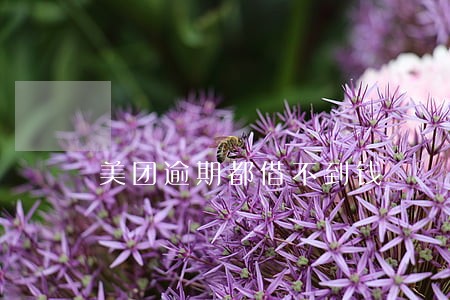 美团逾期都借不到钱 美团逾期都借不到钱