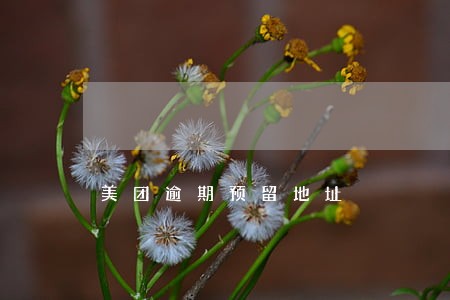美团逾期预留地址 美团逾期预留地址