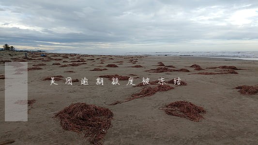 美团逾期额度被冻结 美团逾期额度被冻结