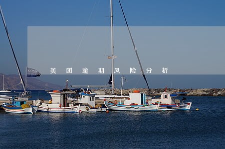 美团逾期风险分析 美团逾期风险分析